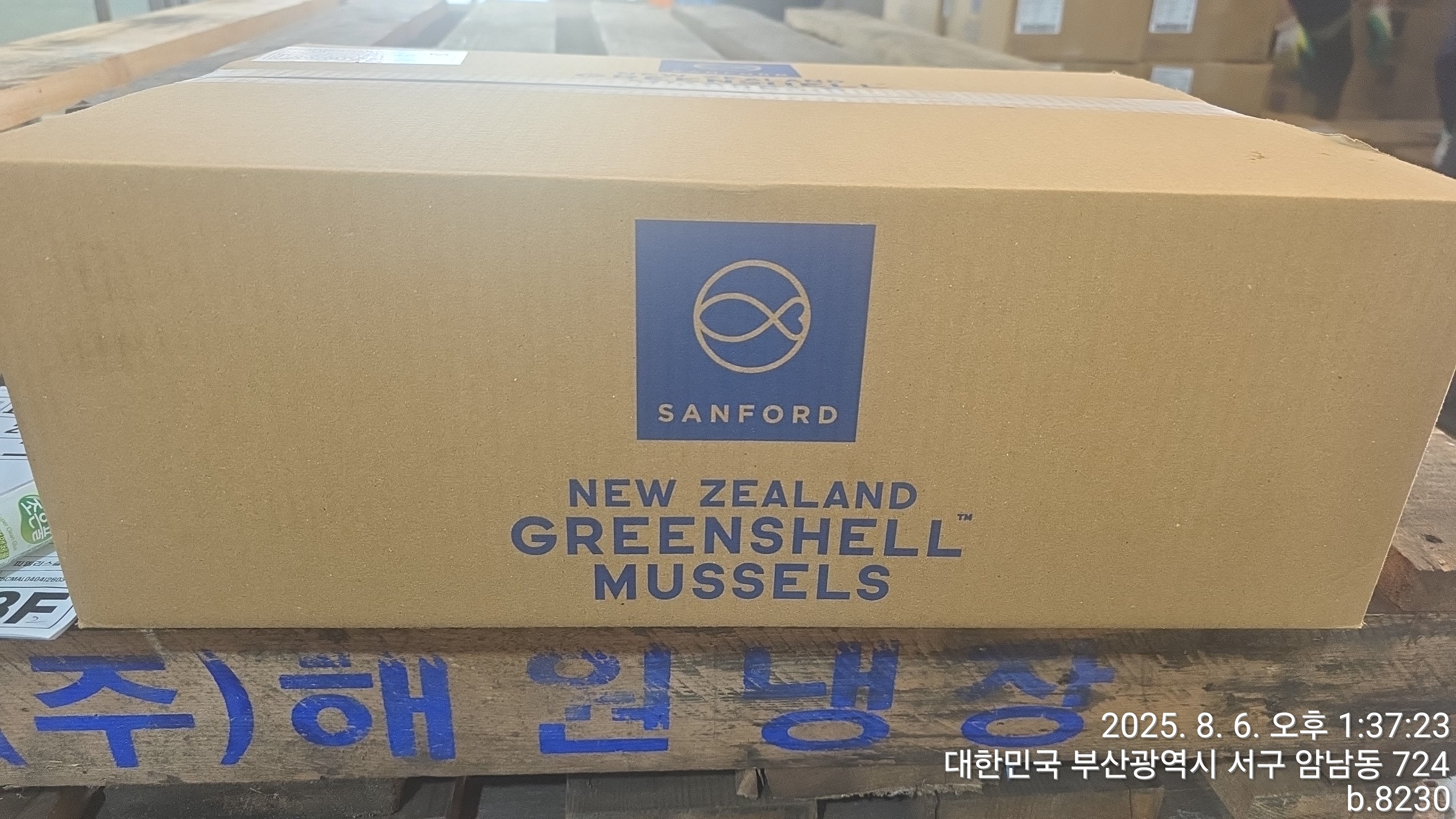 그린홍합 > 반탈각 > M 30/45 미/KG 17