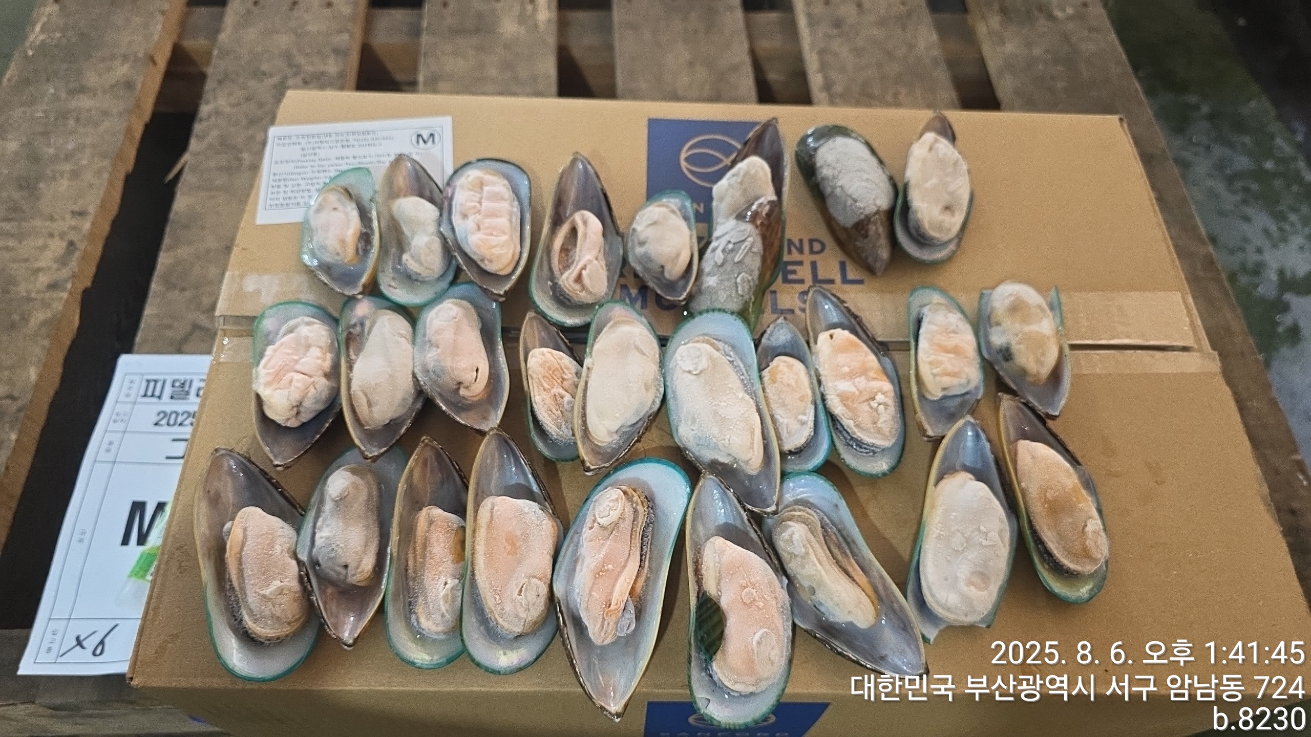 그린홍합 > 반탈각 > M 30/45 미/KG 19