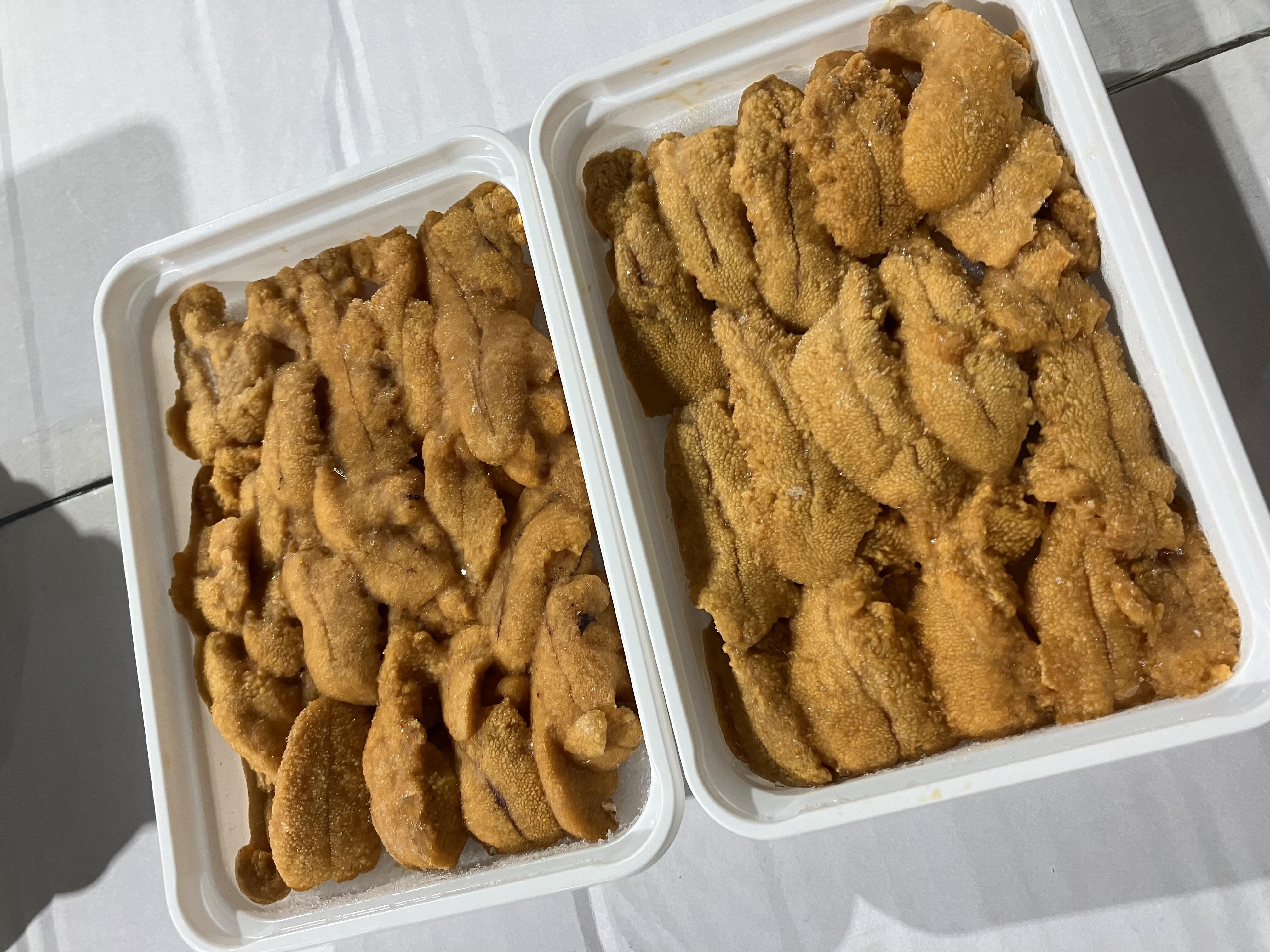 성게알 > AA 2