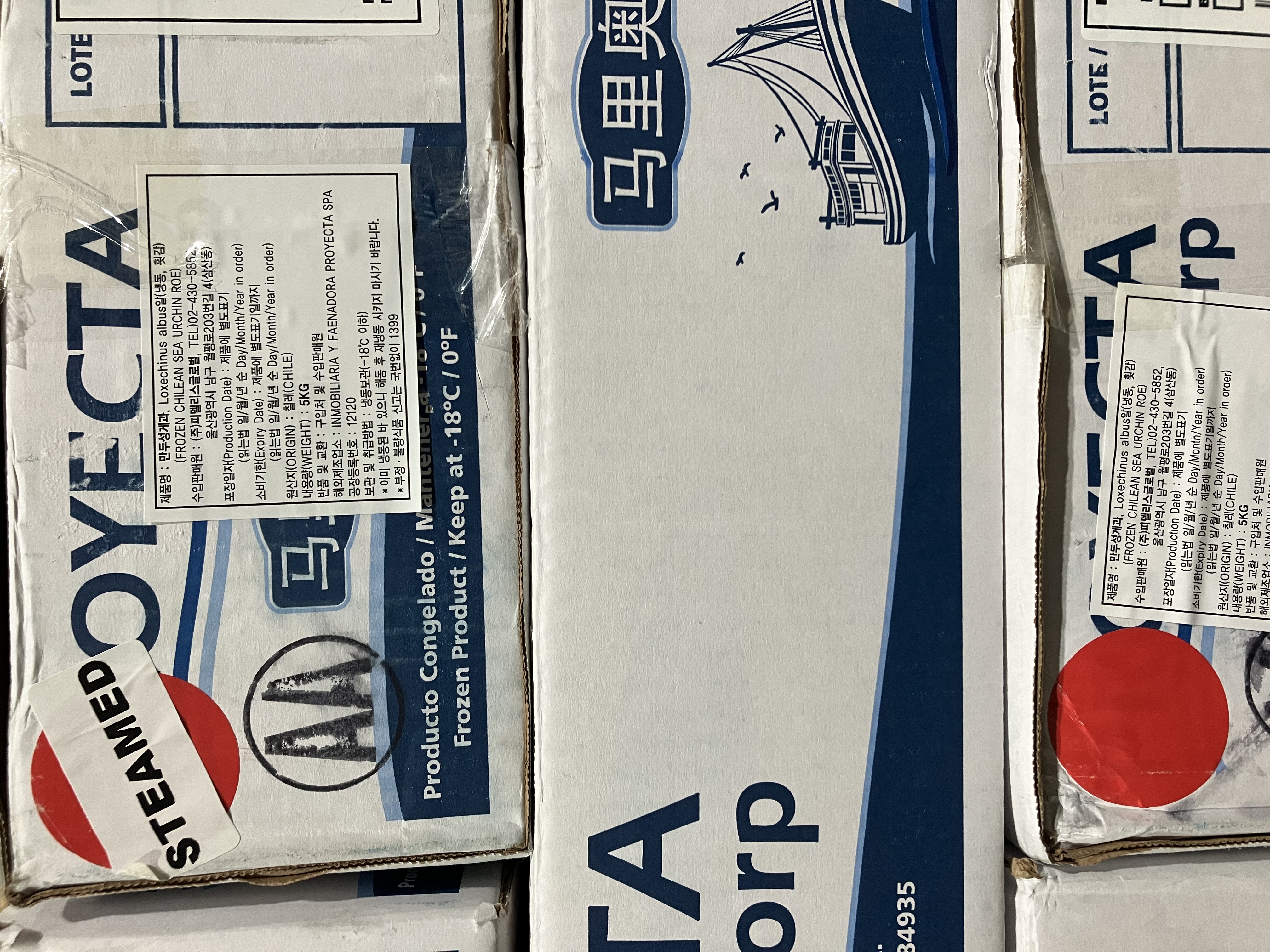 성게알 > AA 12