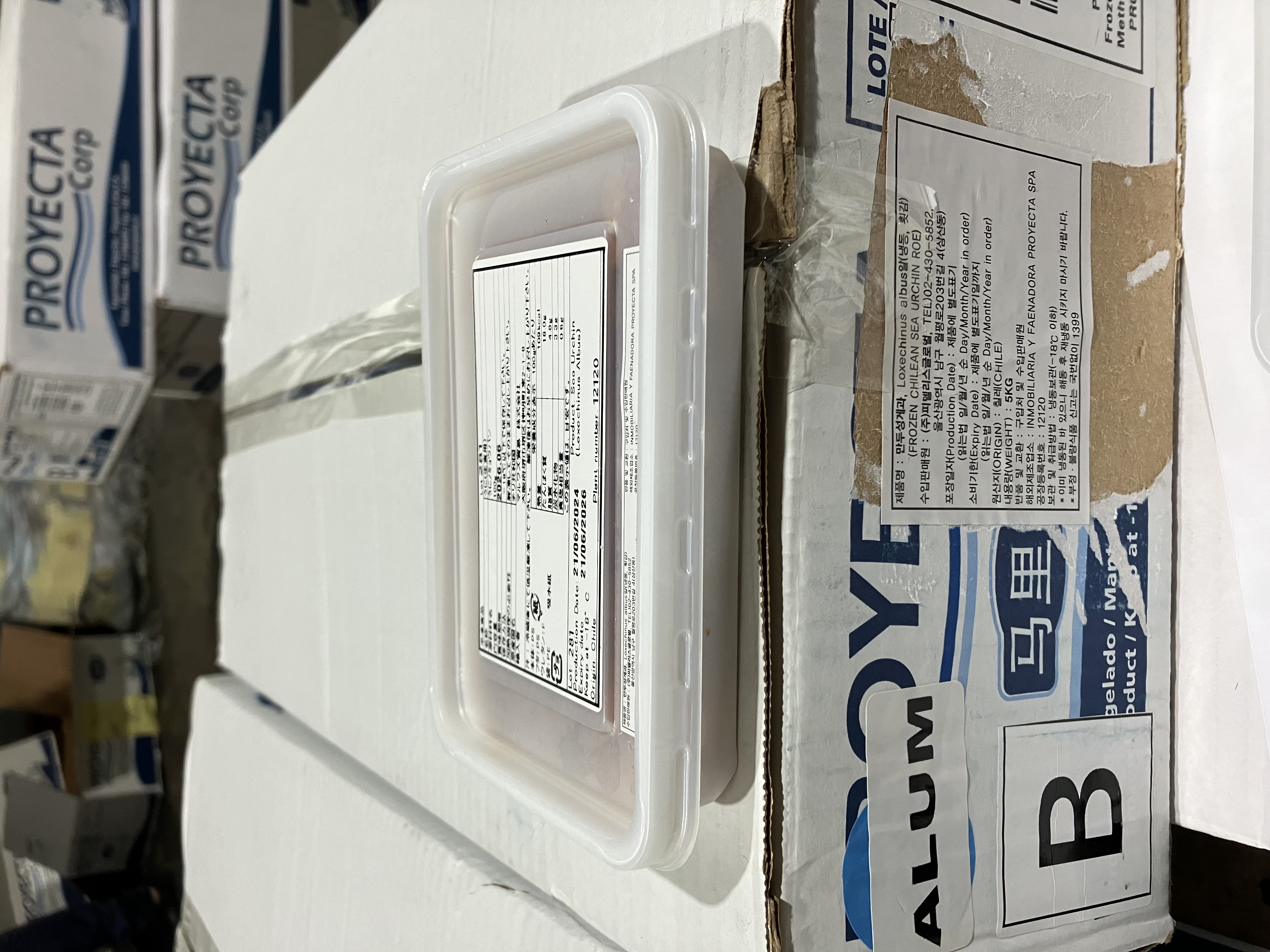 성게알 > B 13