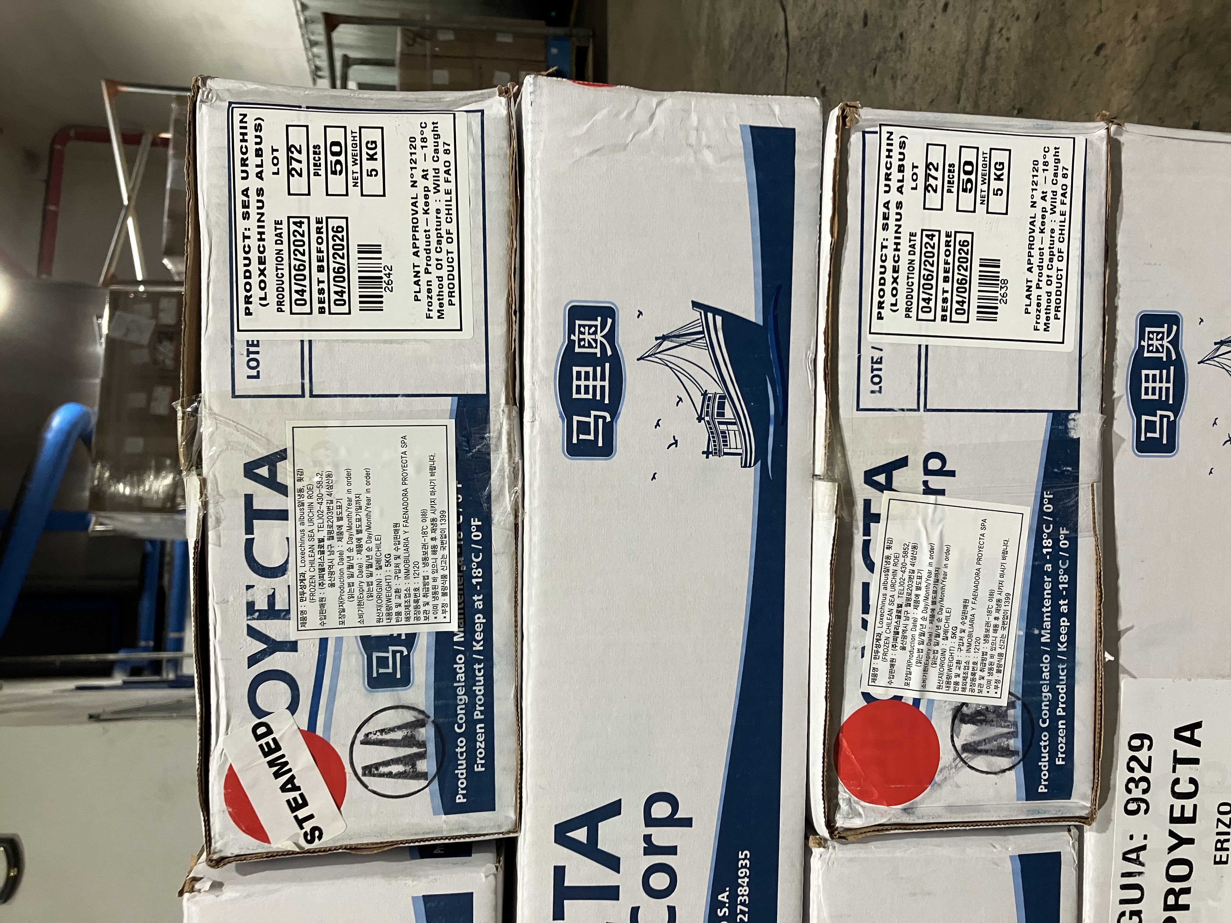 성게알 > AA 13