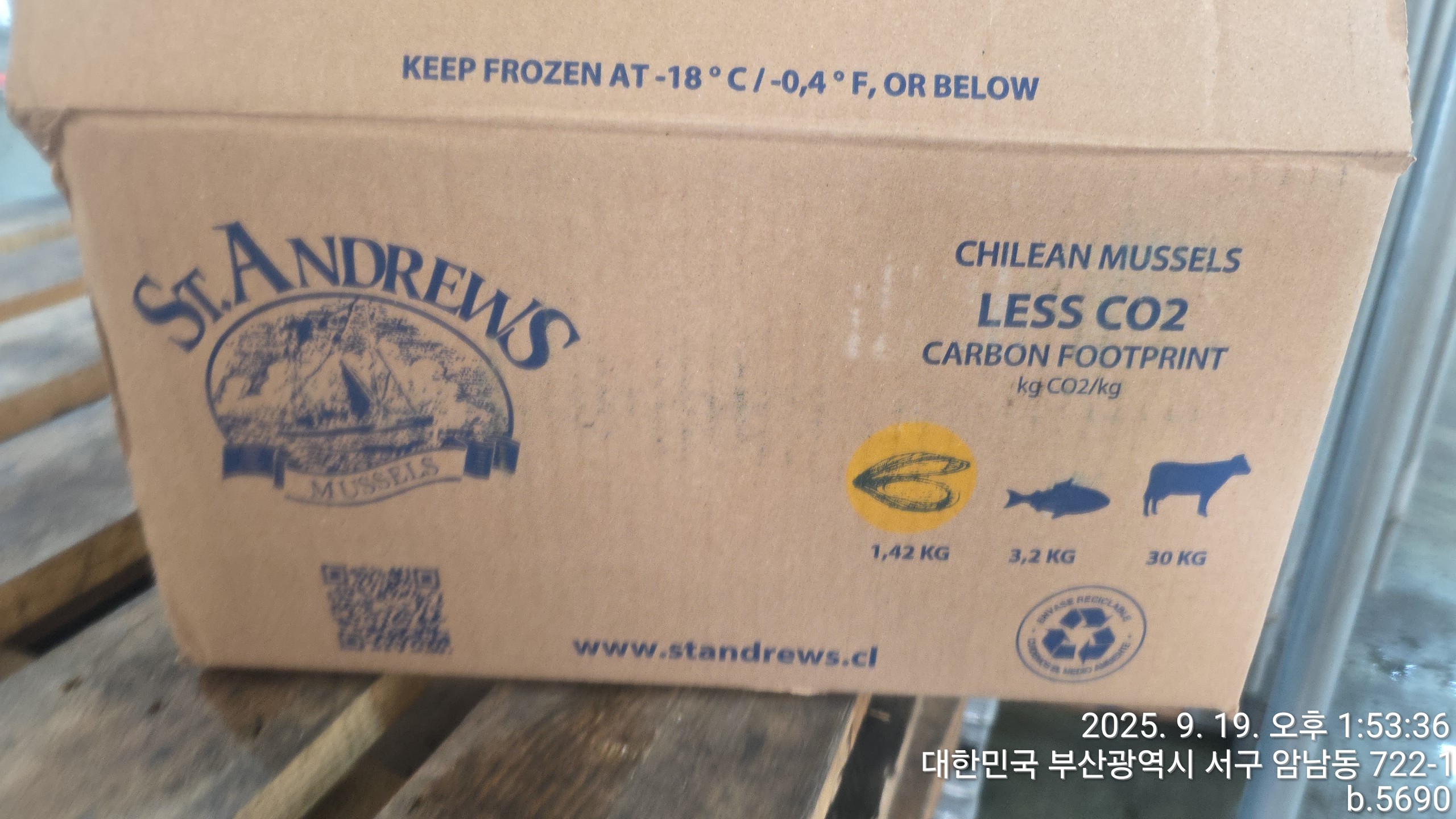 홍합 > 홍합살 > 200/300 미/KG 3