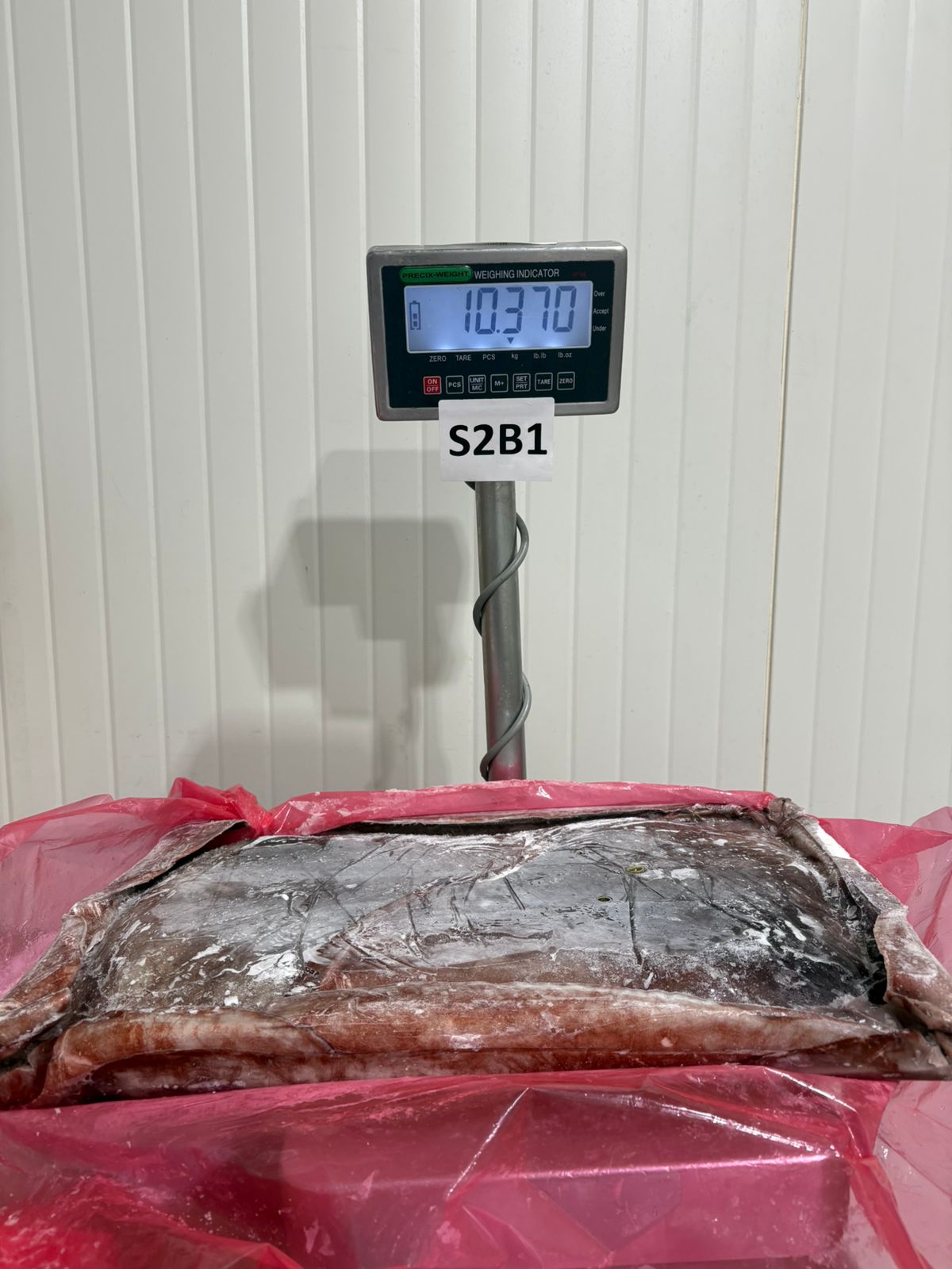 무라 > 귀 > 1KG UP 14