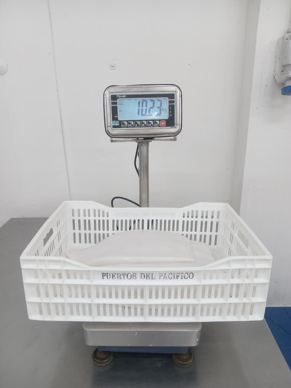 무라 > 몸 > 4KG UP 8