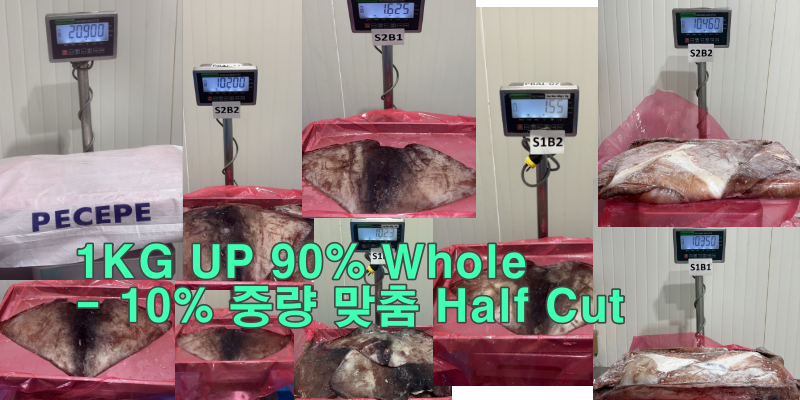 무라 > 귀 > 1KG UP 1