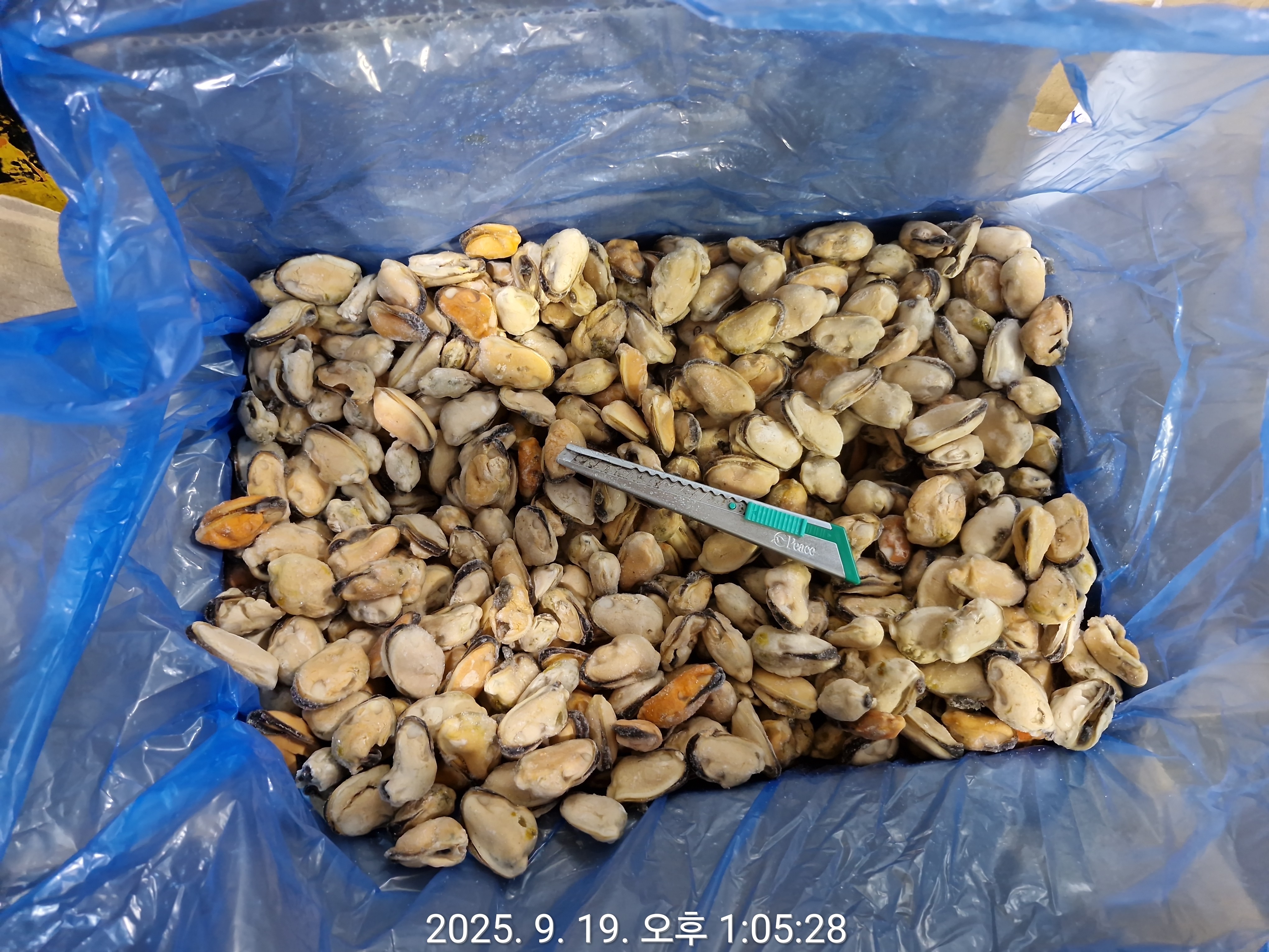 홍합 > 홍합살 > 200/300 미/KG 1