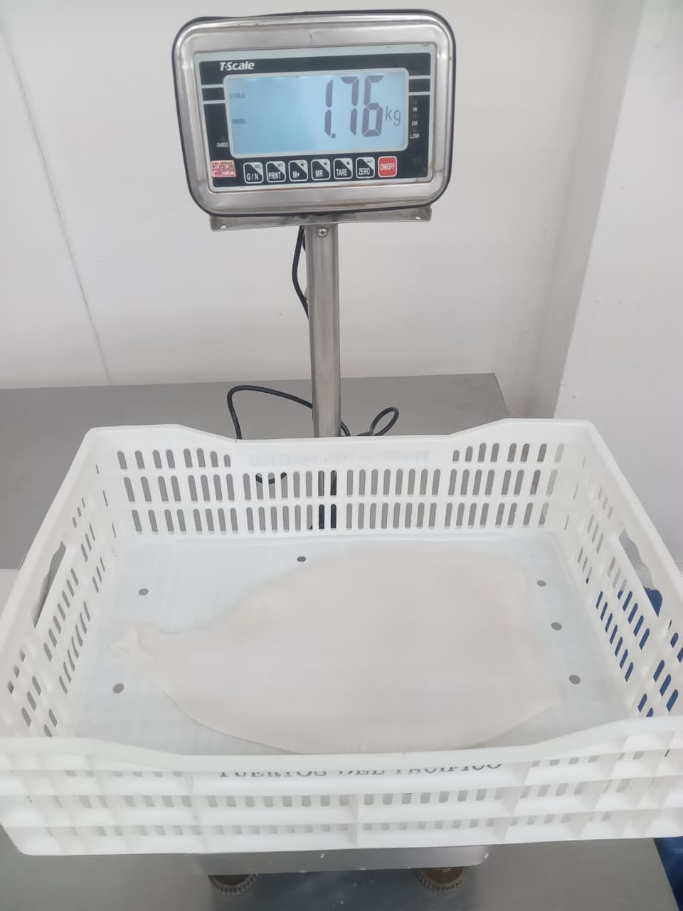 무라 > 몸 > 4KG UP 13