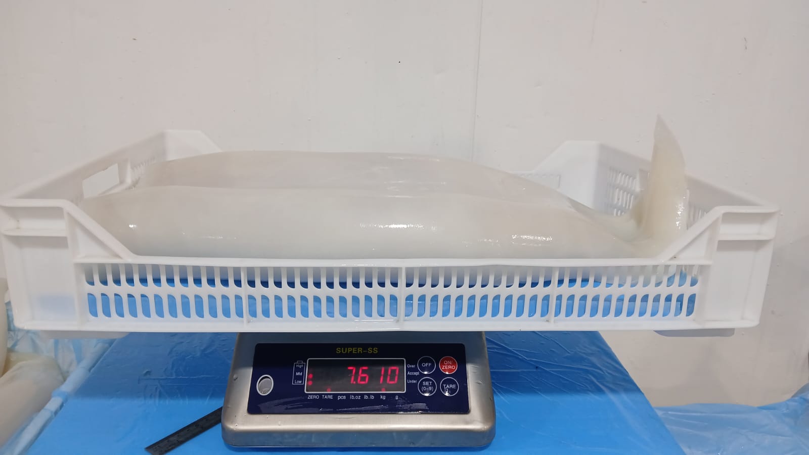 무라 > 몸 > 3KG UP 7