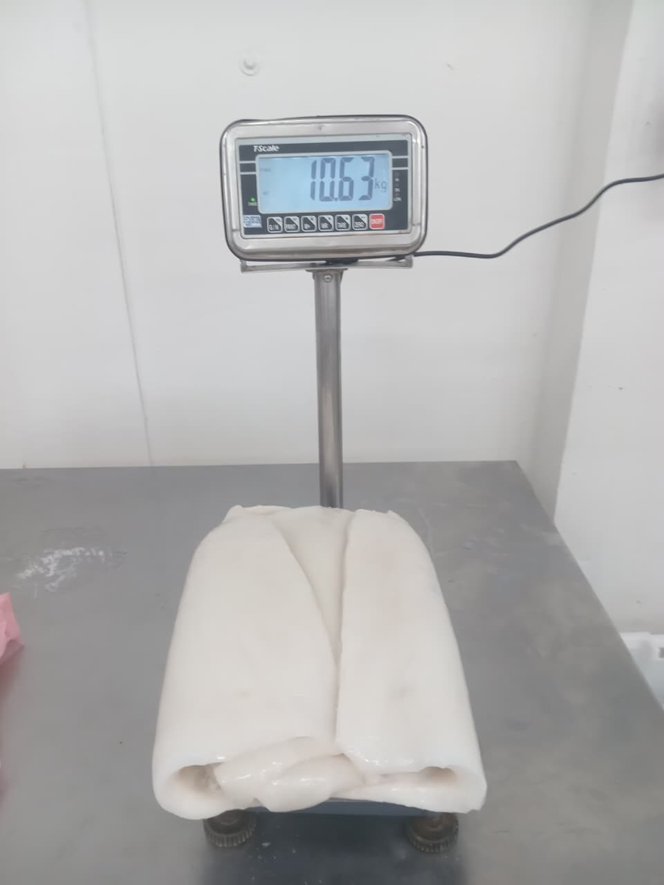 무라 > 몸 > 4KG UP 41