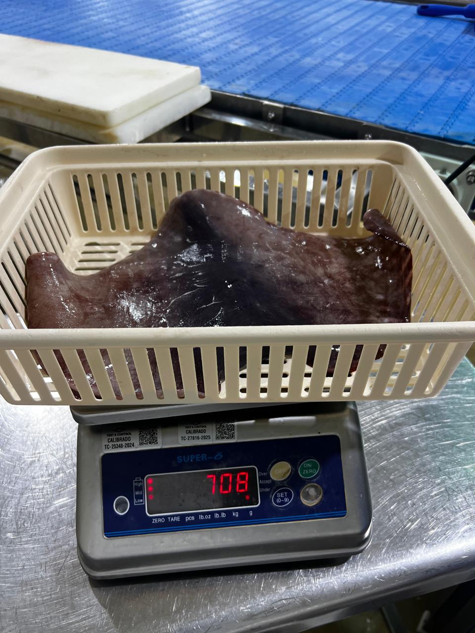 무라 > 귀 > 500/1000G 4