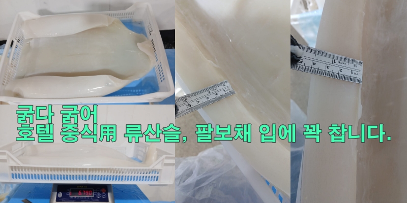무라 > 몸 > 3KG UP 1