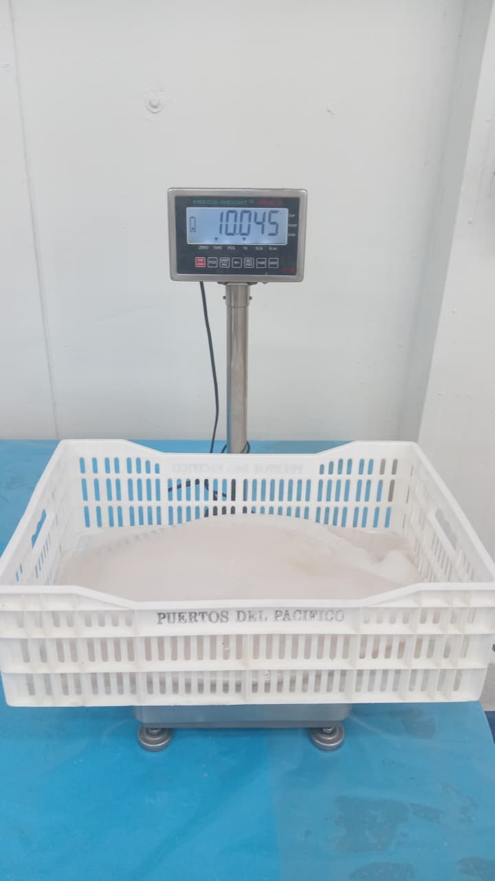 무라 > 몸 > 4KG UP 31