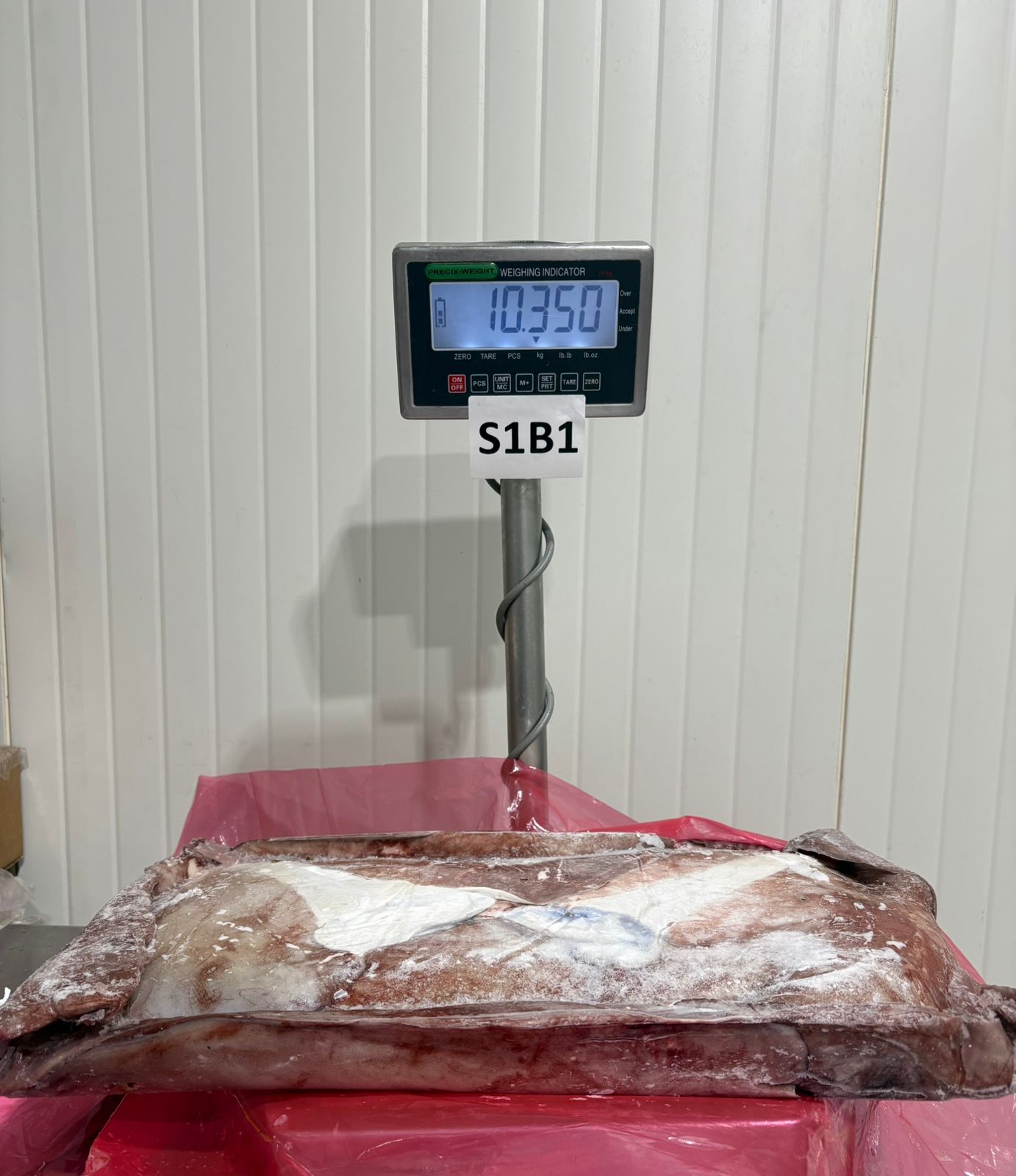 무라 > 귀 > 1KG UP 12