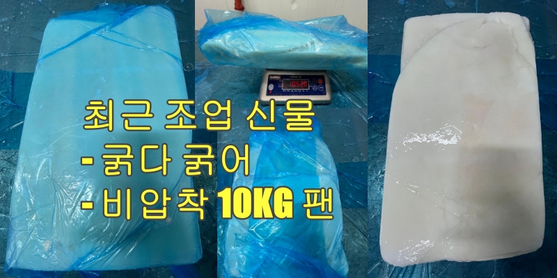무라 > 몸 > 4KG UP 1