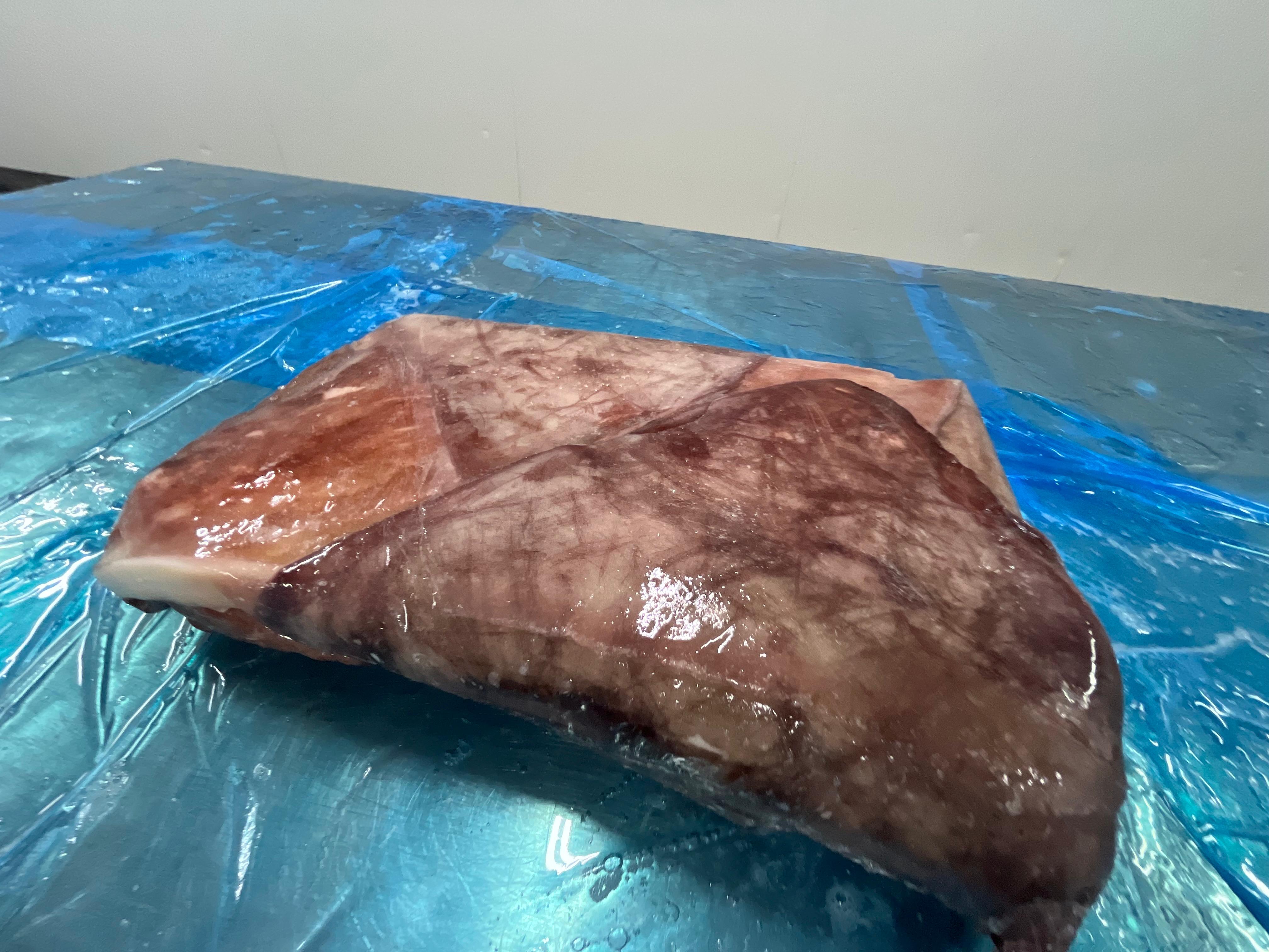 무라 > 귀 > 1KG UP 6