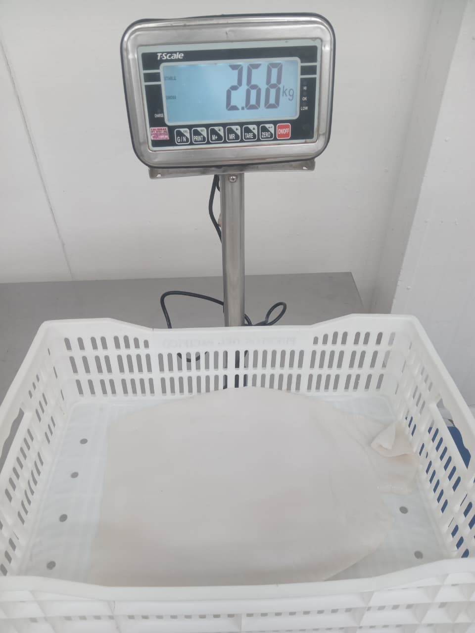 무라 > 몸 > 4KG UP 11