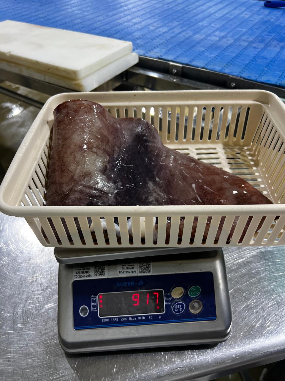 무라 > 귀 > 500/1000G 6