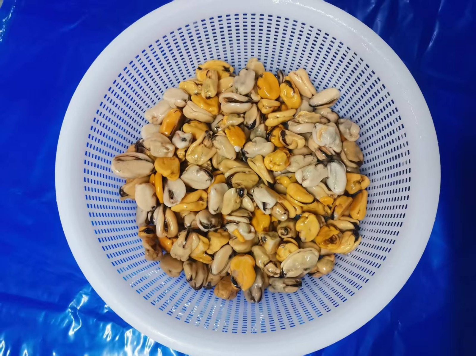 홍합 > 홍합살 > 300/500 미/KG 2