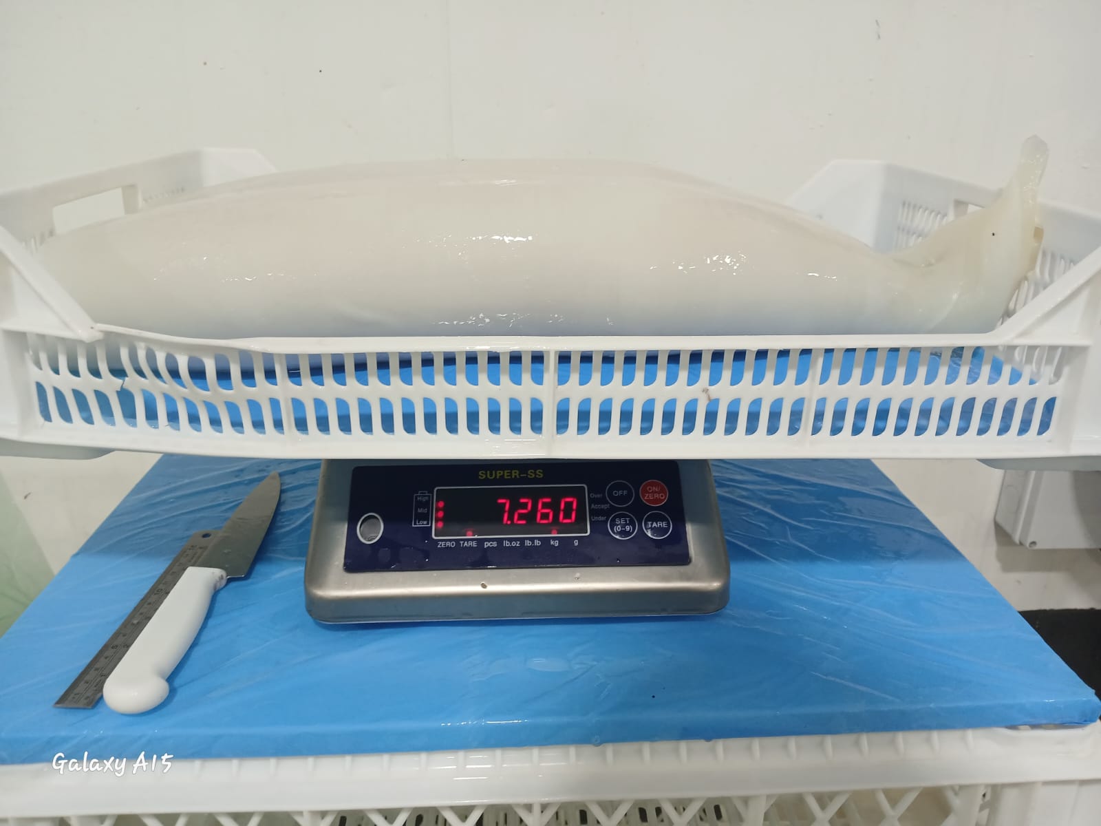 무라 > 몸 > 3KG UP 4