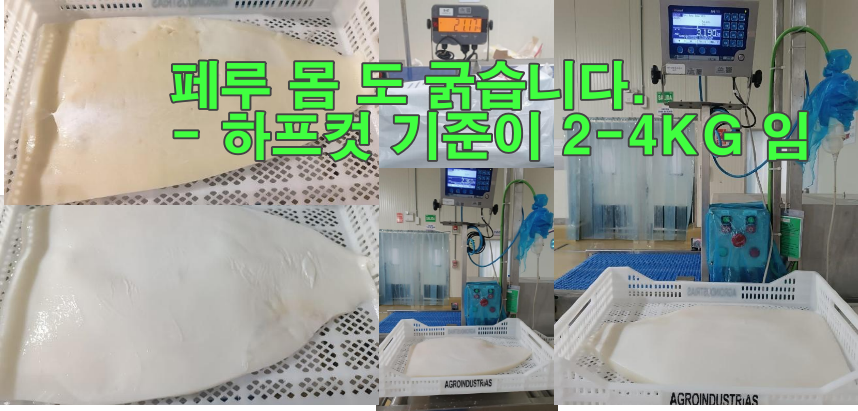 무라 > 몸 > 4KG UP 1