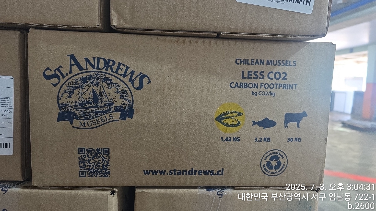 홍합 > 홍합살 > 100/200 미/KG 2