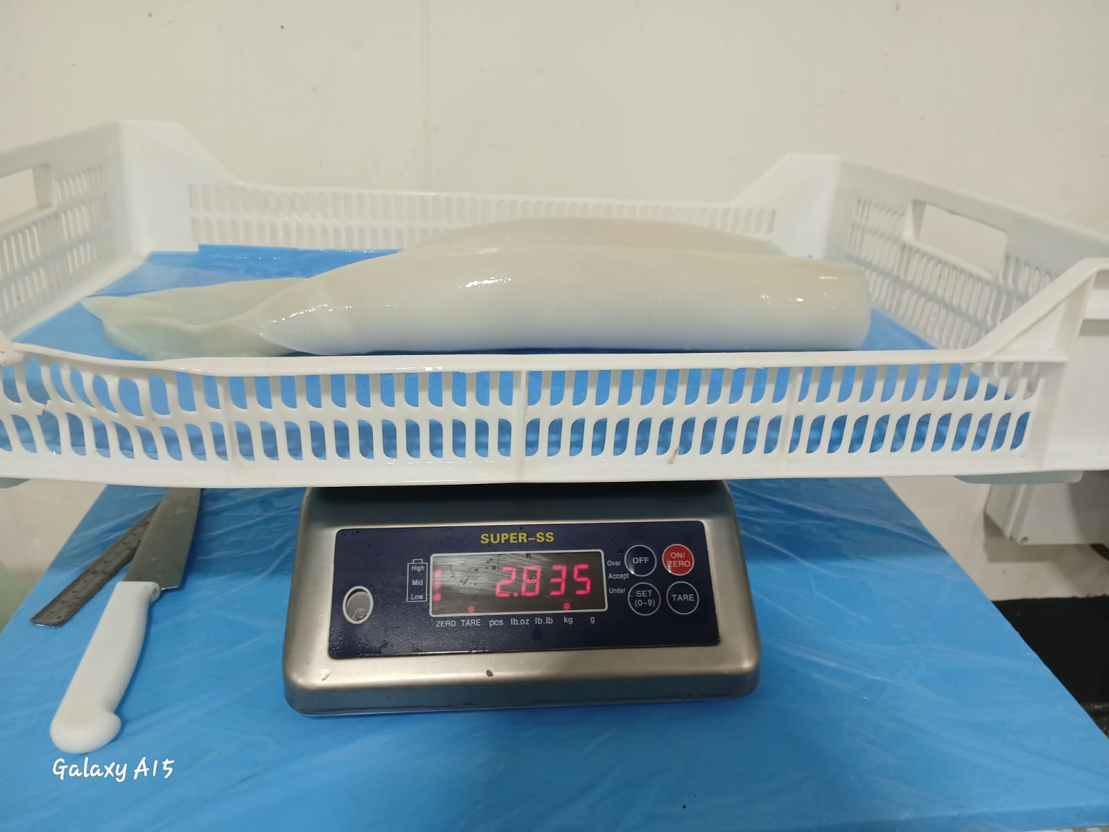 무라 > 몸 > 3KG UP 12