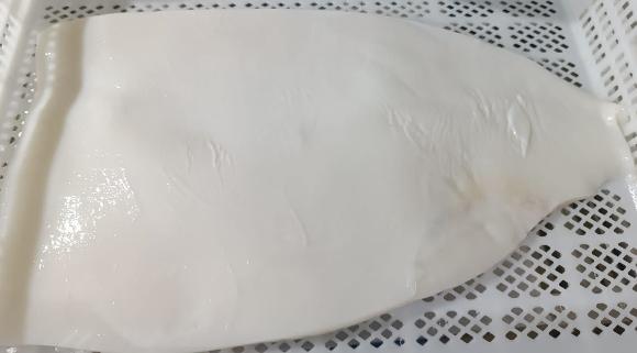 무라 > 몸 > 4KG UP 39