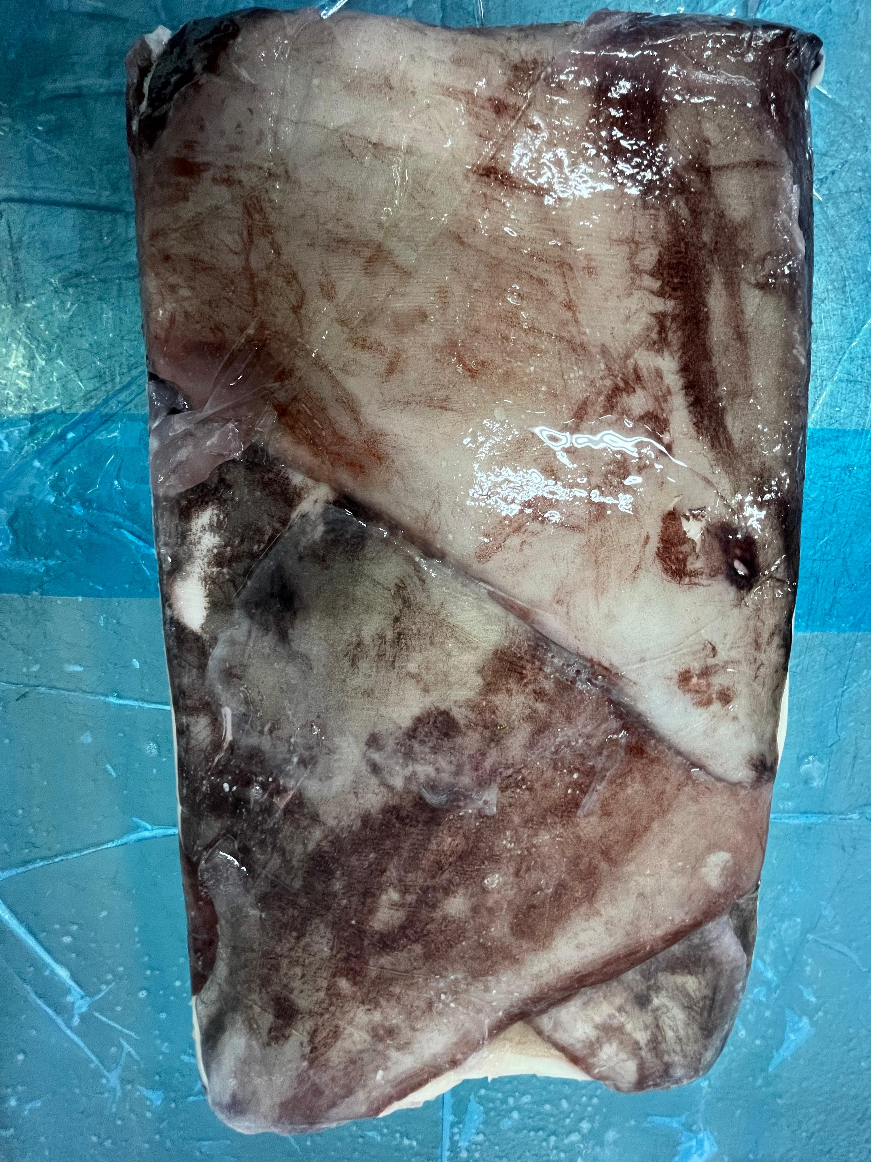 무라 > 귀 > 1KG UP 19
