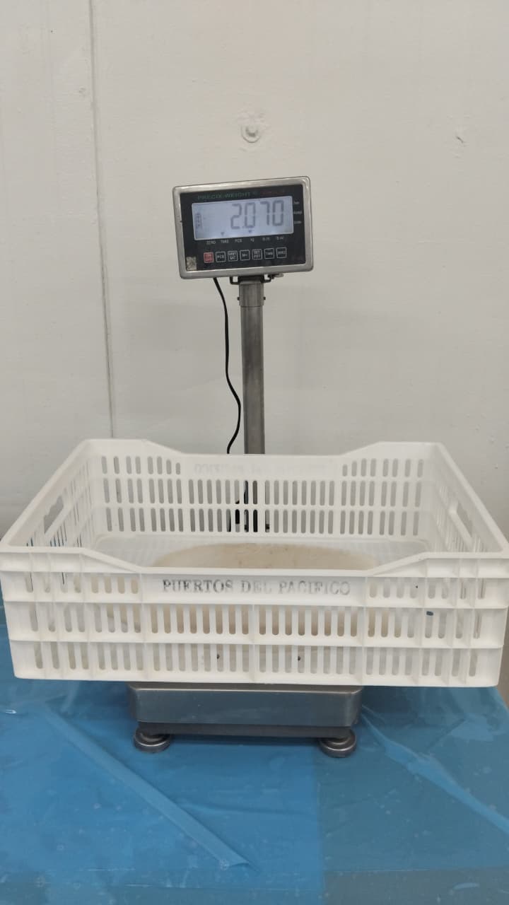 무라 > 몸 > 4KG UP 34
