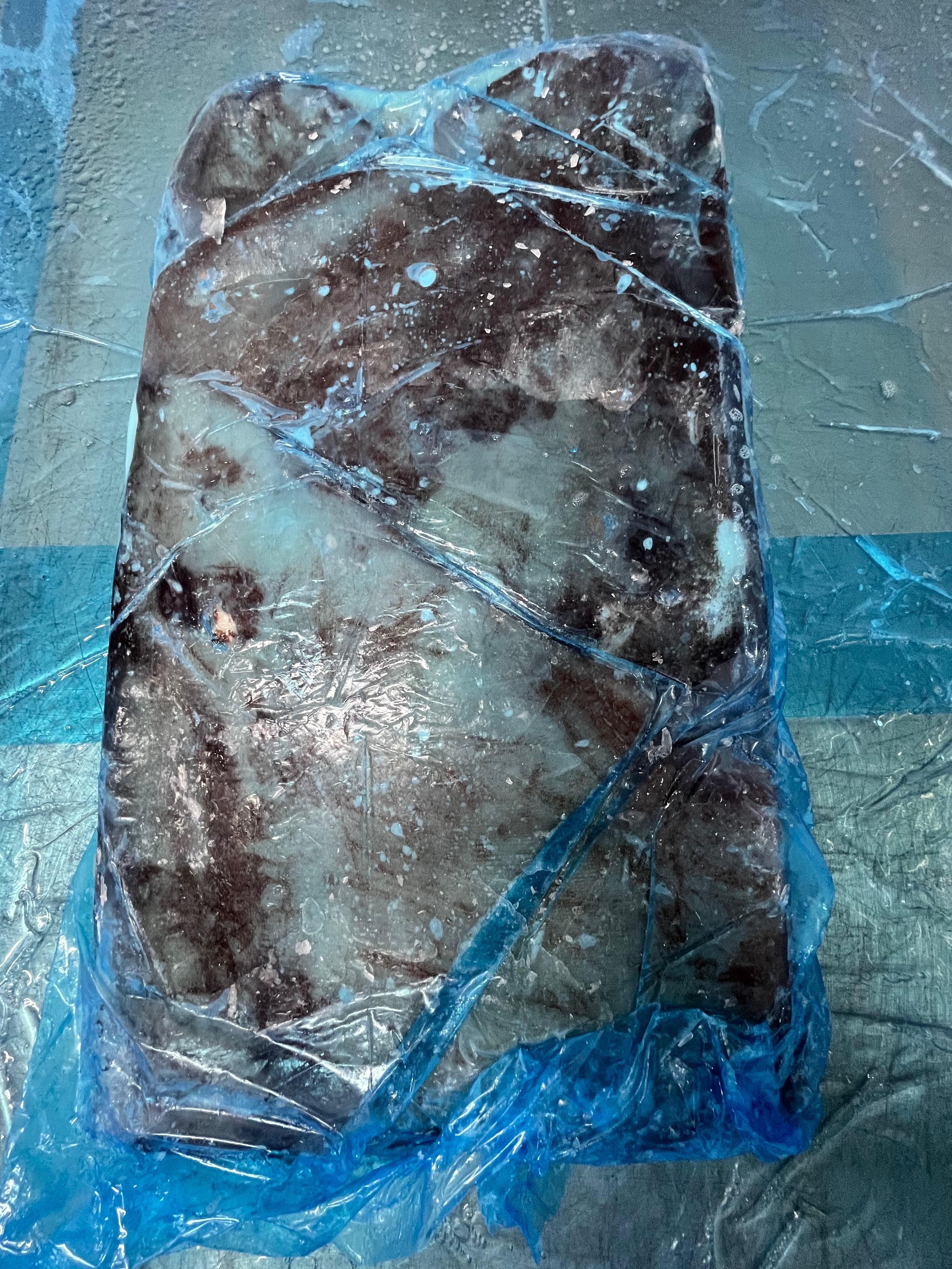 무라 > 귀 > 1KG UP 15