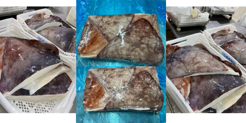 무라 > 귀 > 1KG UP 2