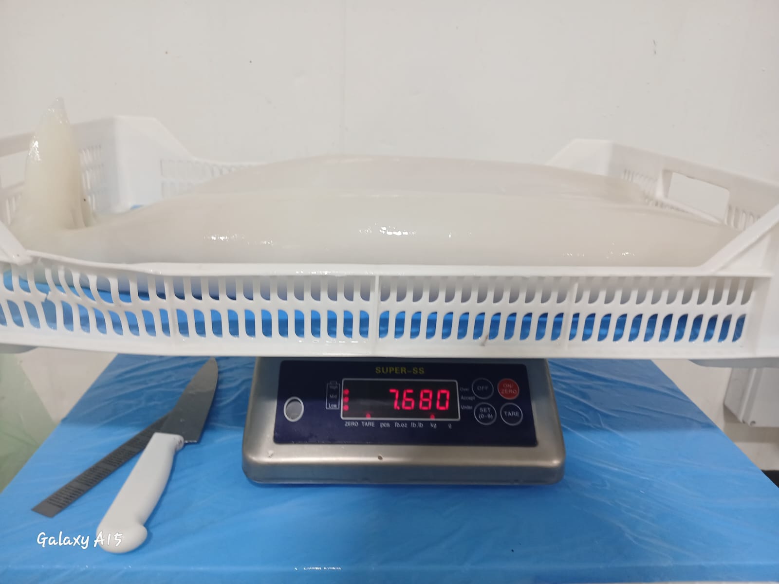 무라 > 몸 > 3KG UP 8