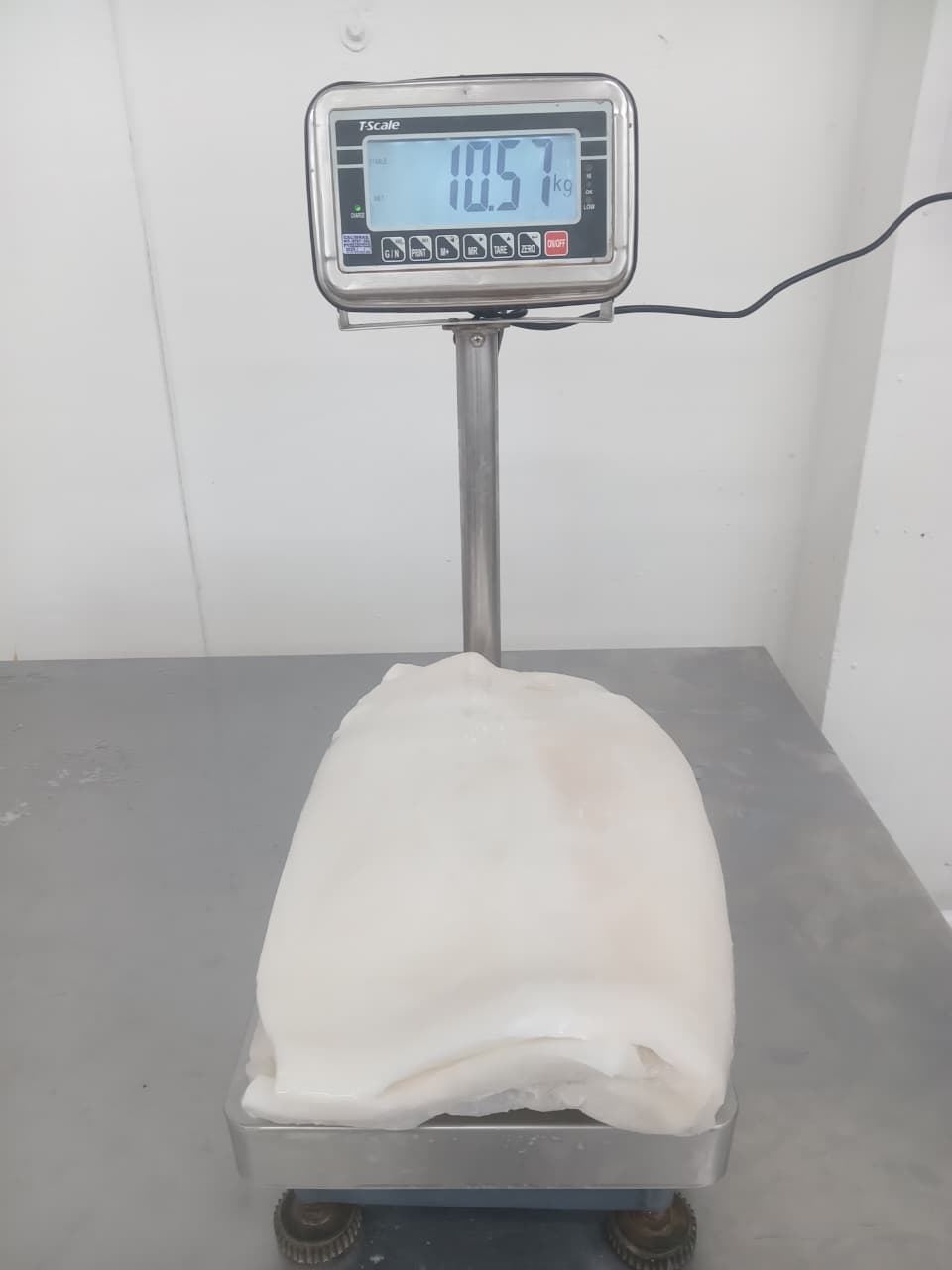무라 > 몸 > 4KG UP 6