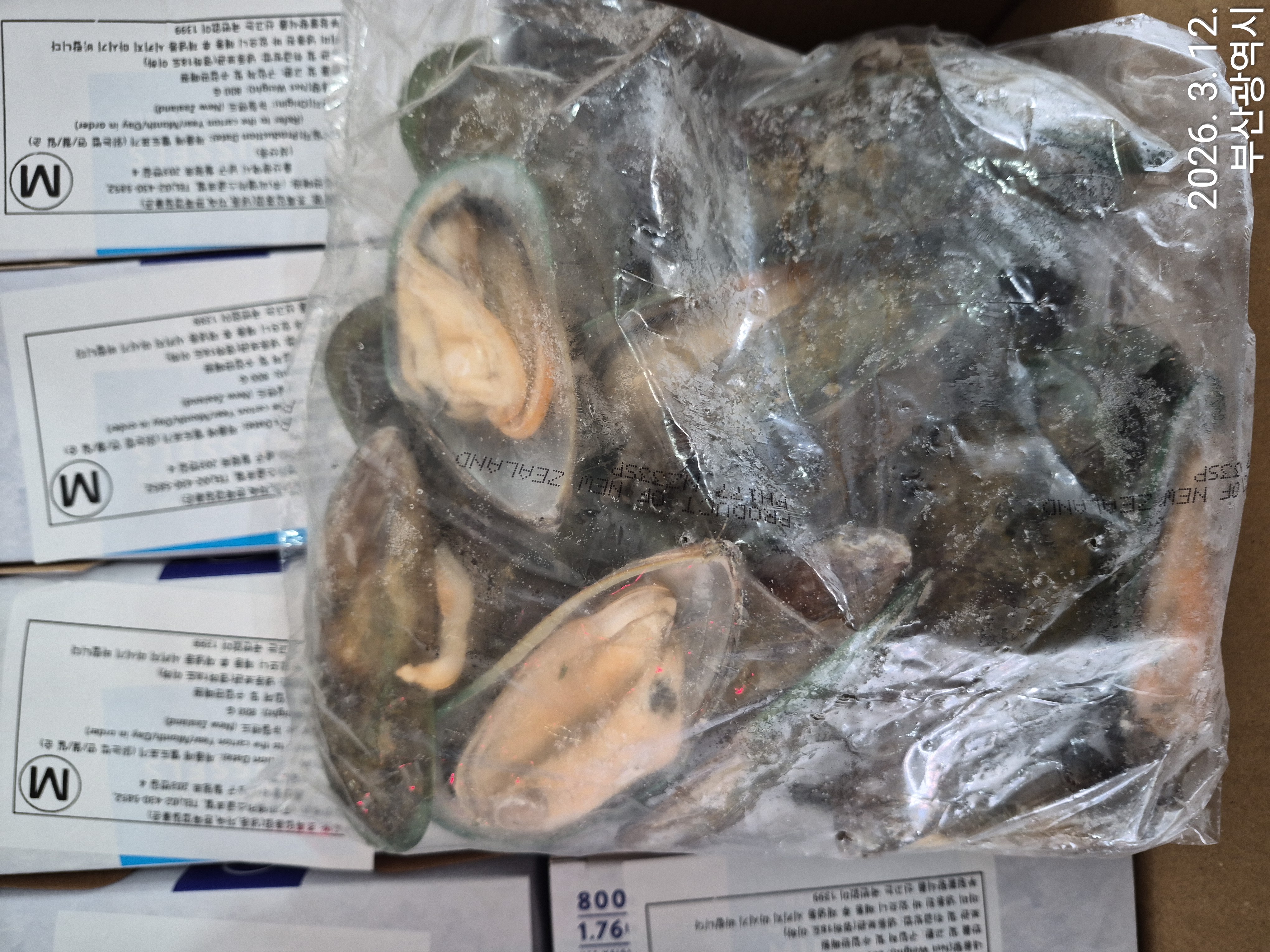 그린홍합 > 반탈각 > M 30/45 미/KG 5