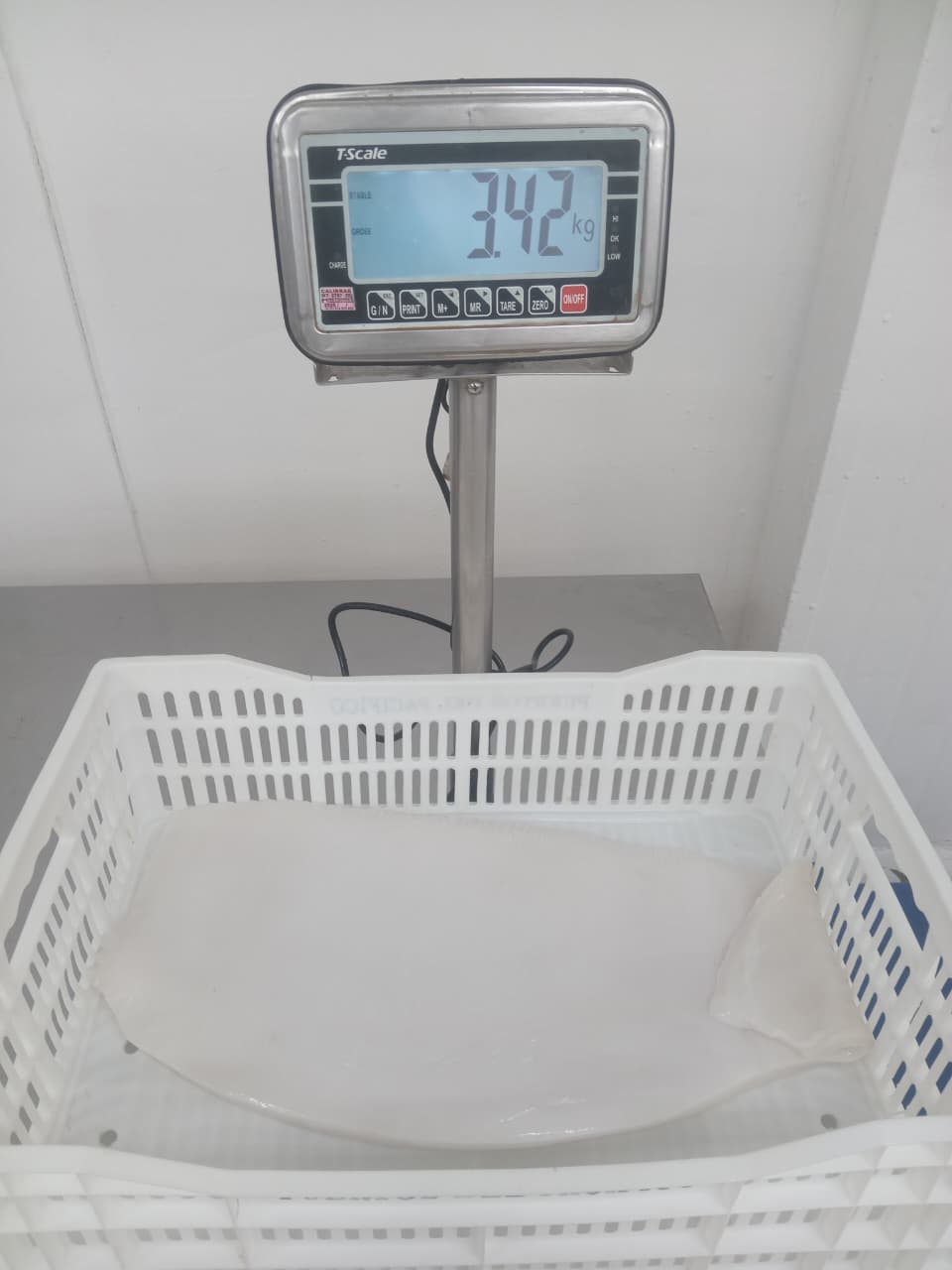 무라 > 몸 > 4KG UP 15