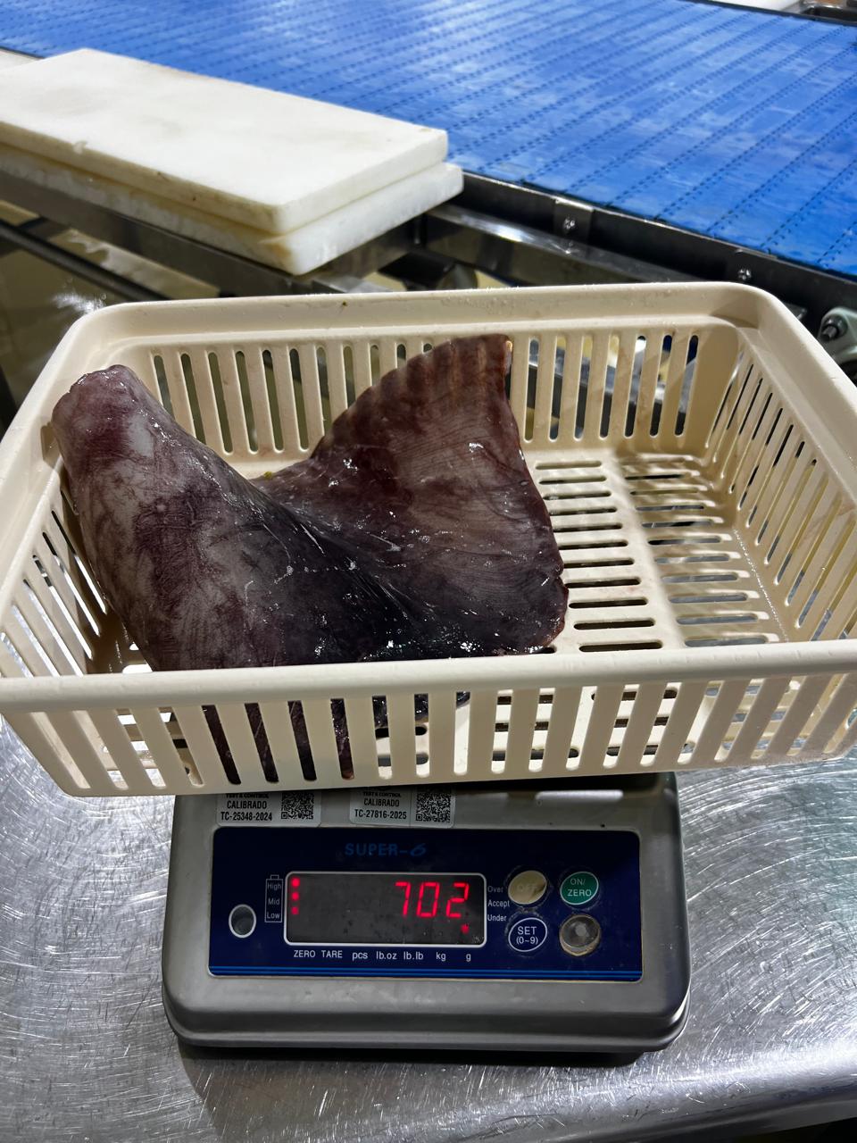 무라 > 귀 > 500/1000G 2