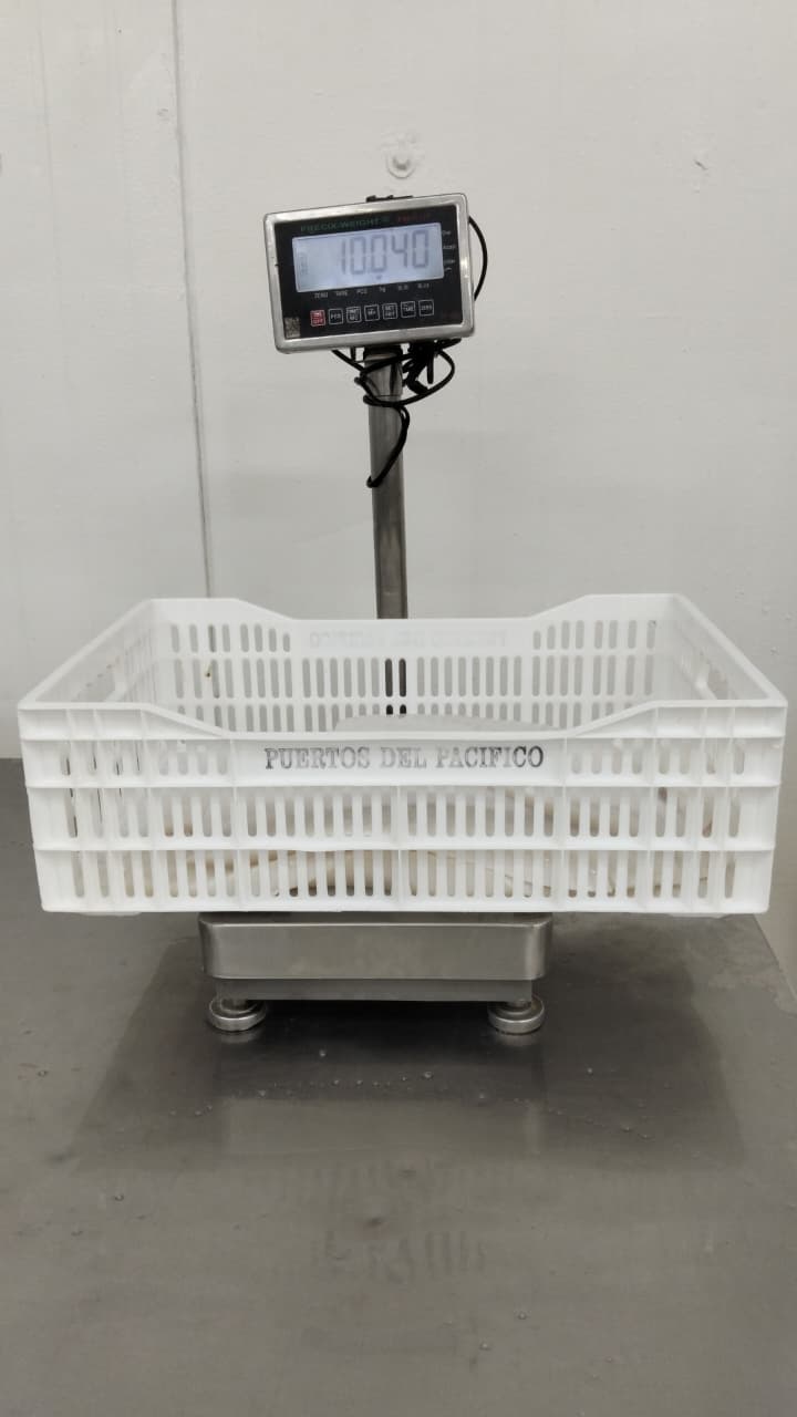 무라 > 몸 > 4KG UP 10