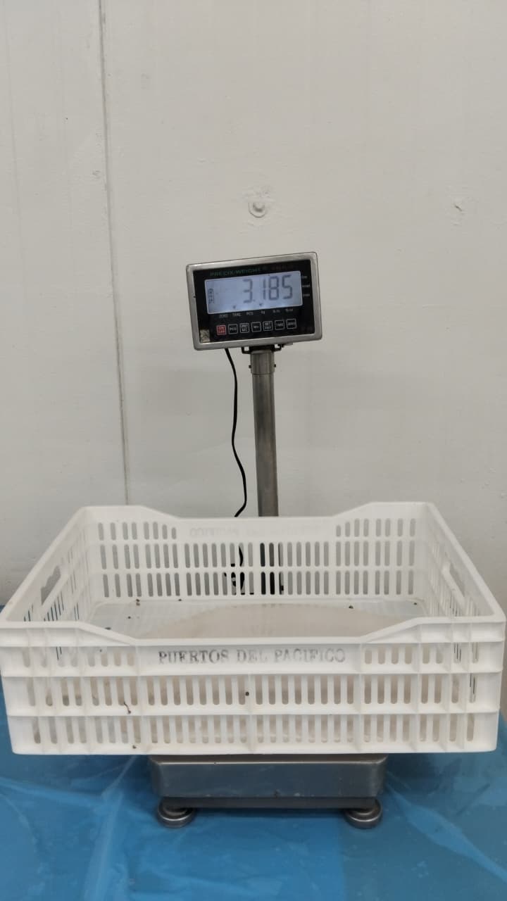 무라 > 몸 > 4KG UP 14