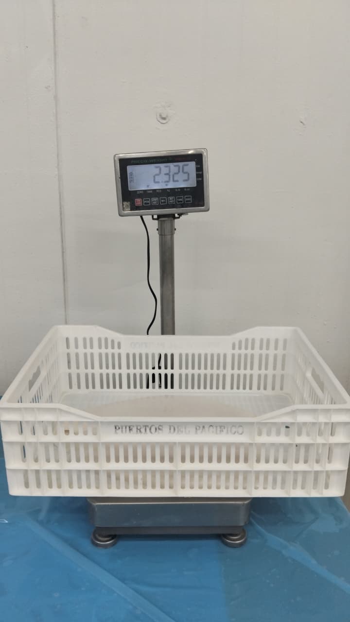 무라 > 몸 > 4KG UP 32