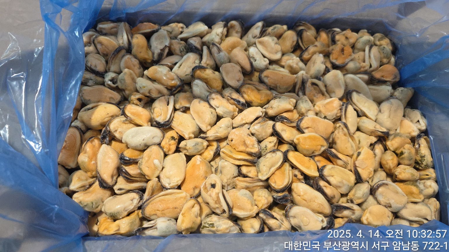 홍합 > 홍합살 > 100/200 미/KG 3