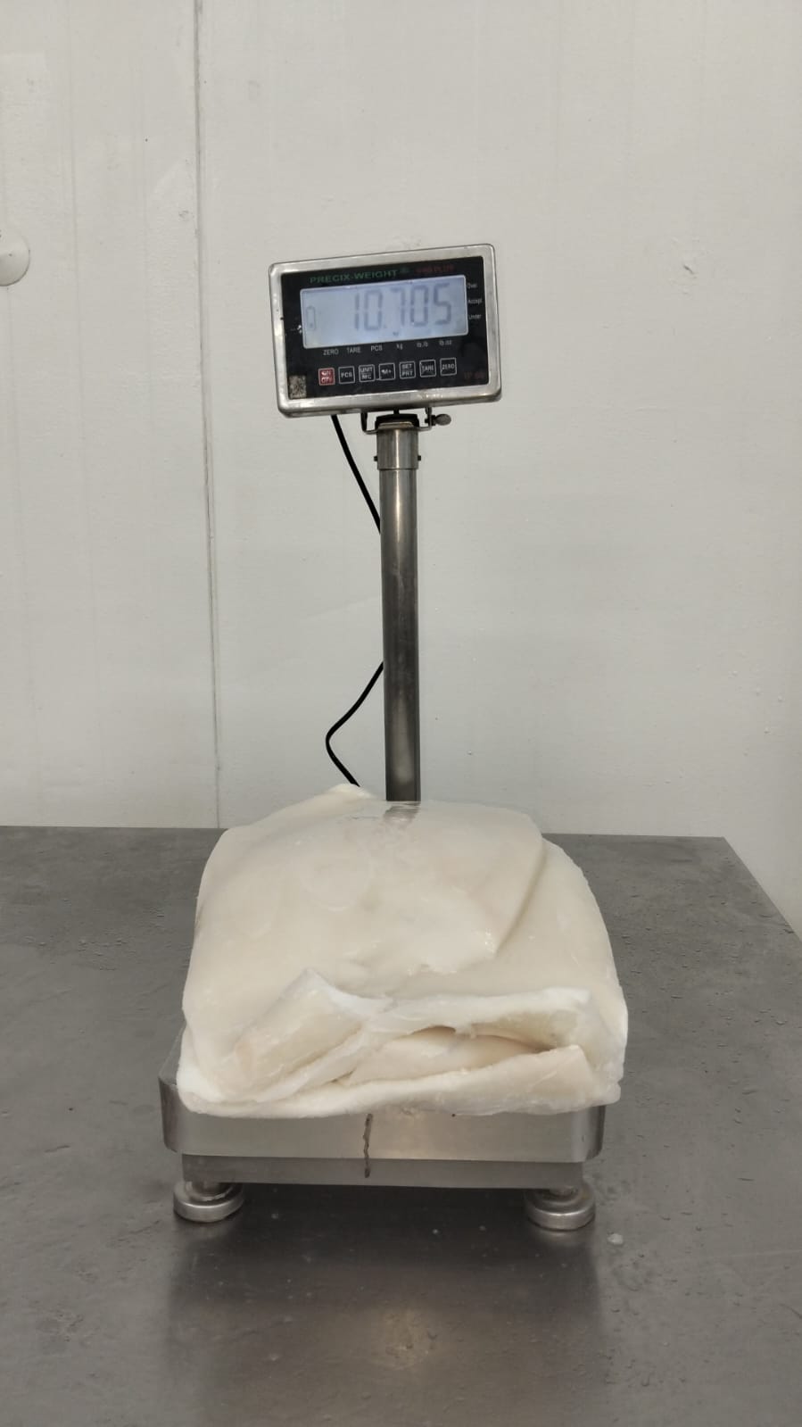 무라 > 몸 > 4KG UP 27