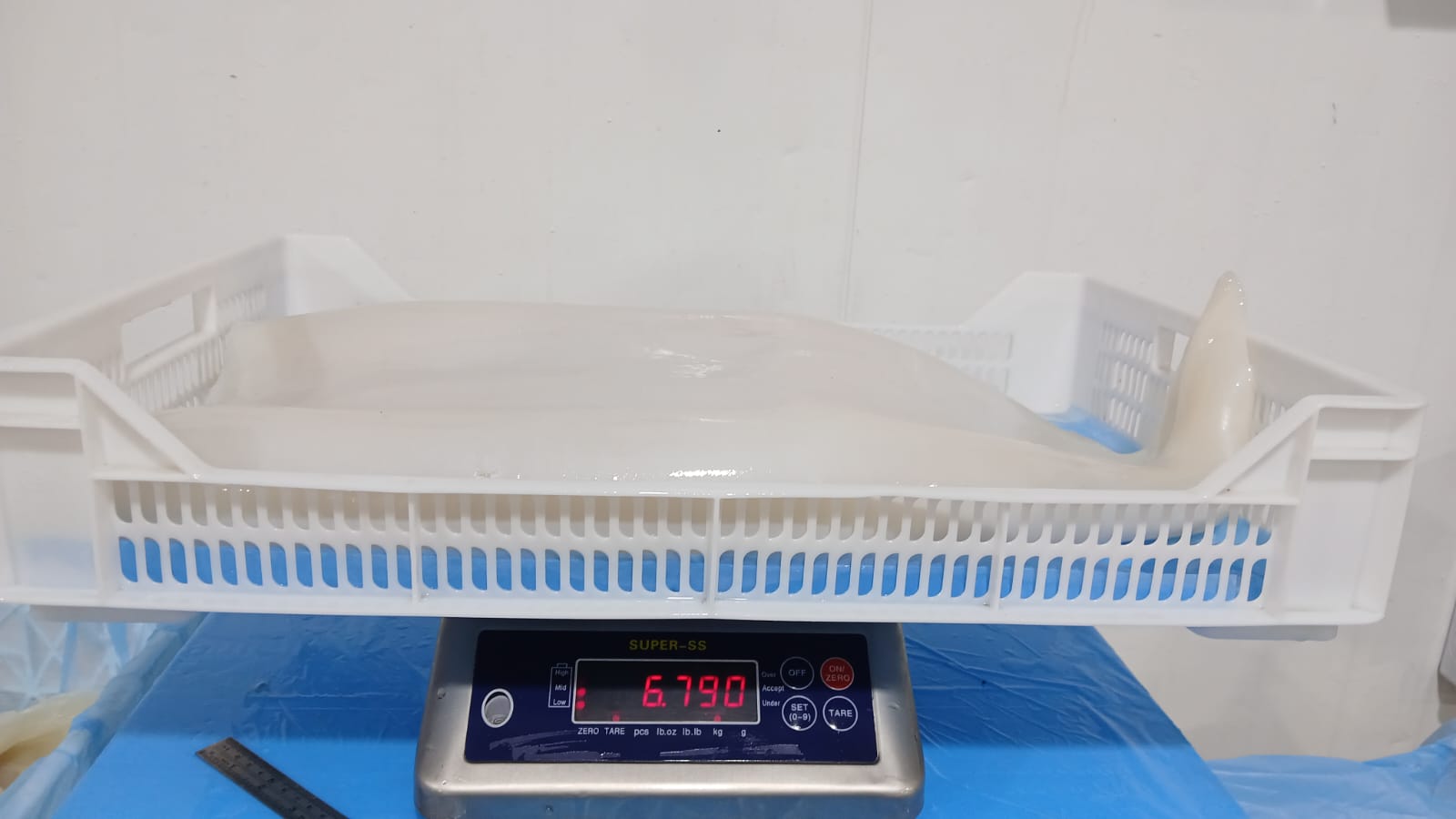 무라 > 몸 > 3KG UP 15