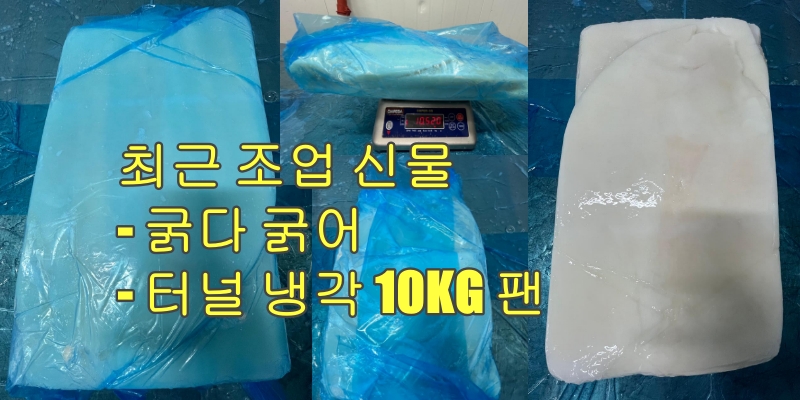 무라 > 몸 > 4KG UP 1