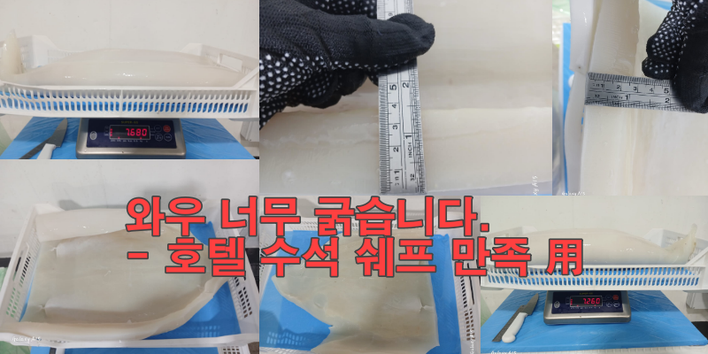 무라 > 몸 > 3KG UP 1