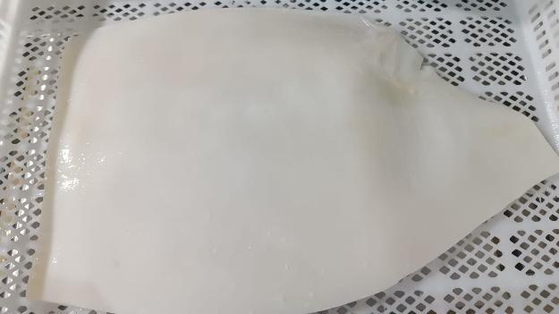 무라 > 몸 > 4KG UP 31