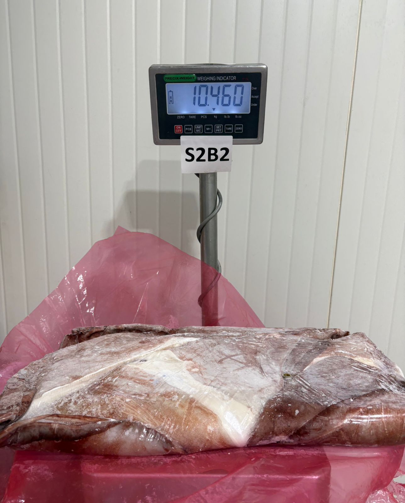 무라 > 귀 > 1KG UP 15