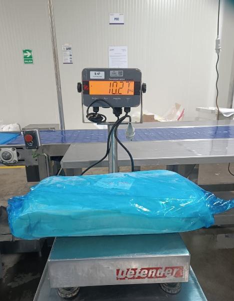 무라 > 몸 > 4KG UP 10