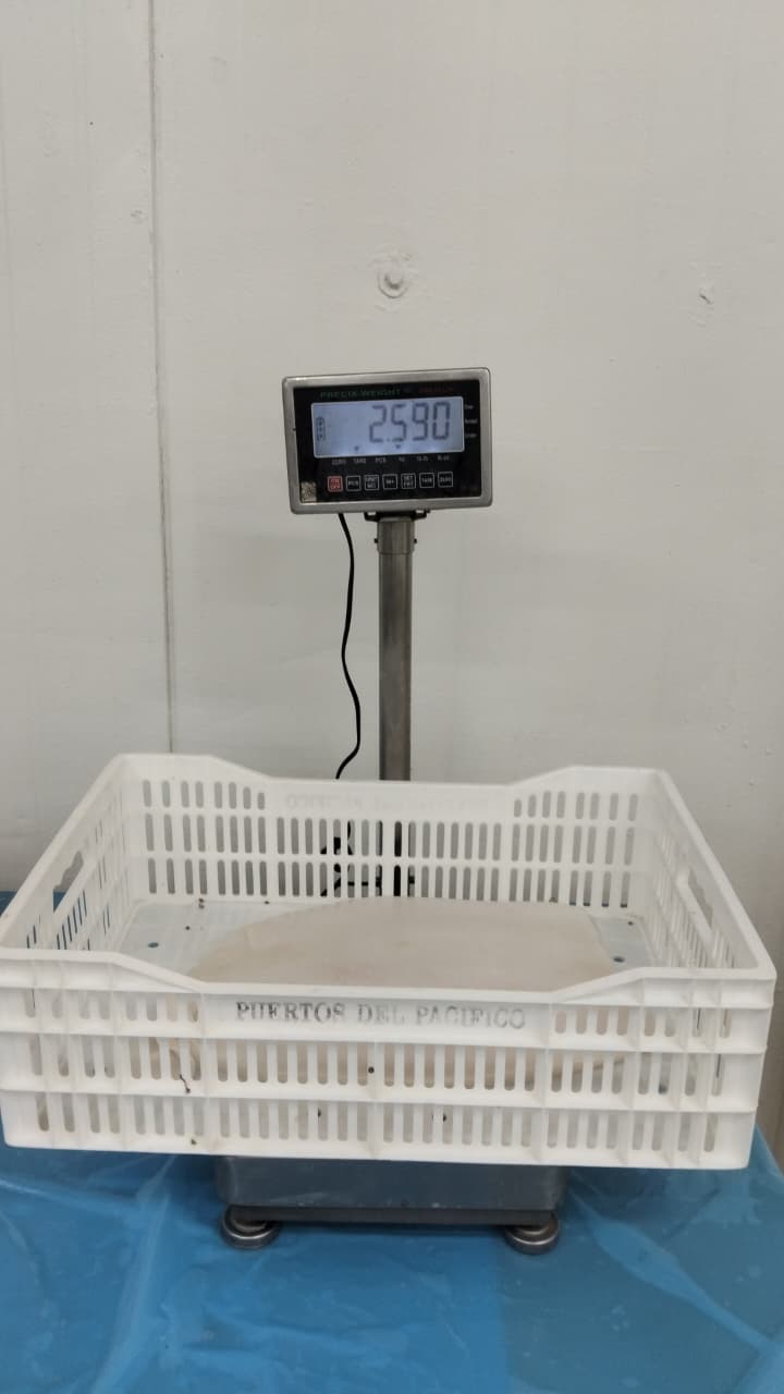 무라 > 몸 > 4KG UP 12