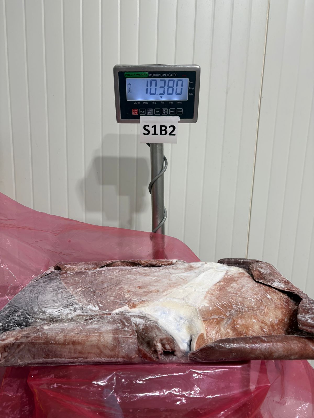 무라 > 귀 > 1KG UP 11